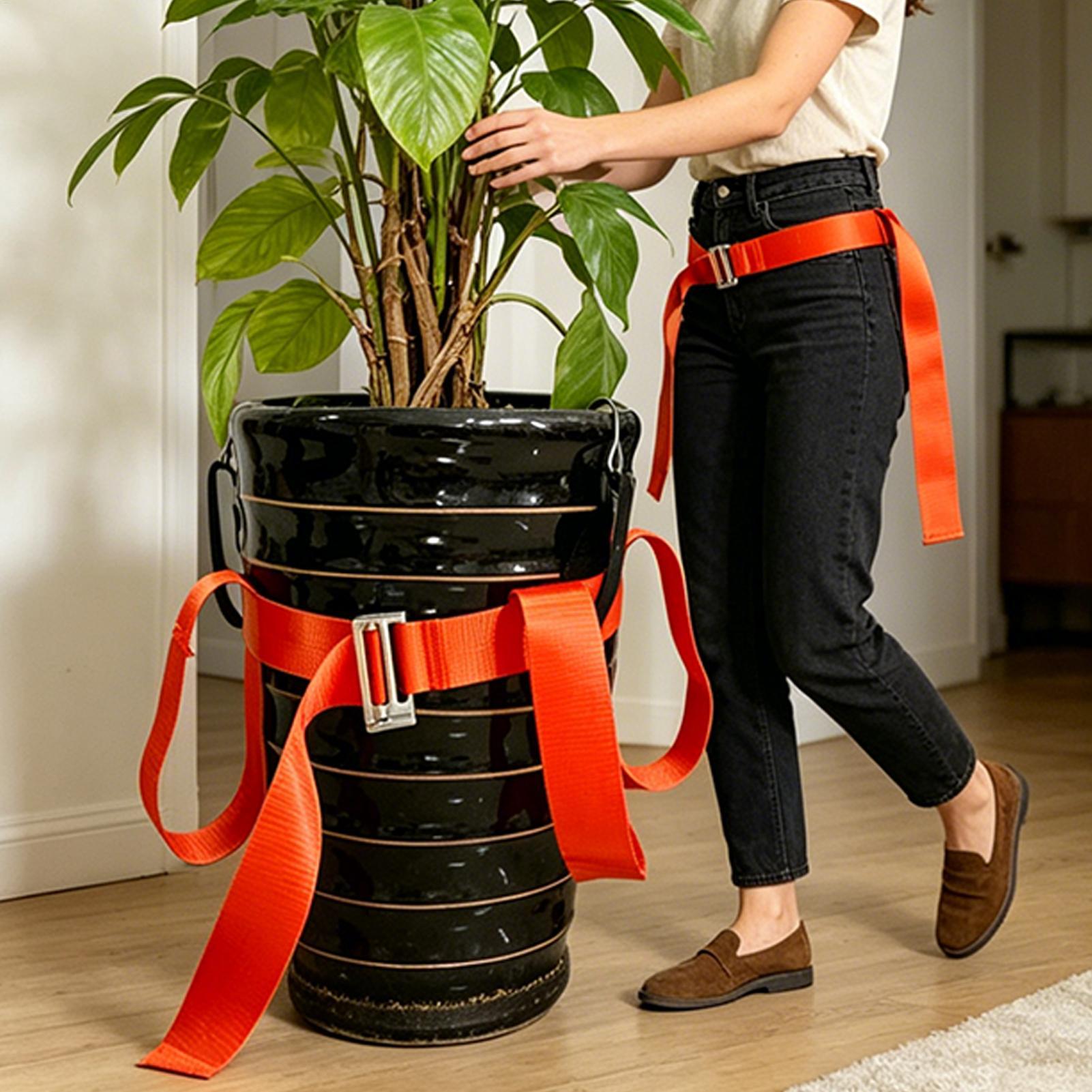 Cinghia di sollevamento per pa - Lifting Belt recensione e prezzo